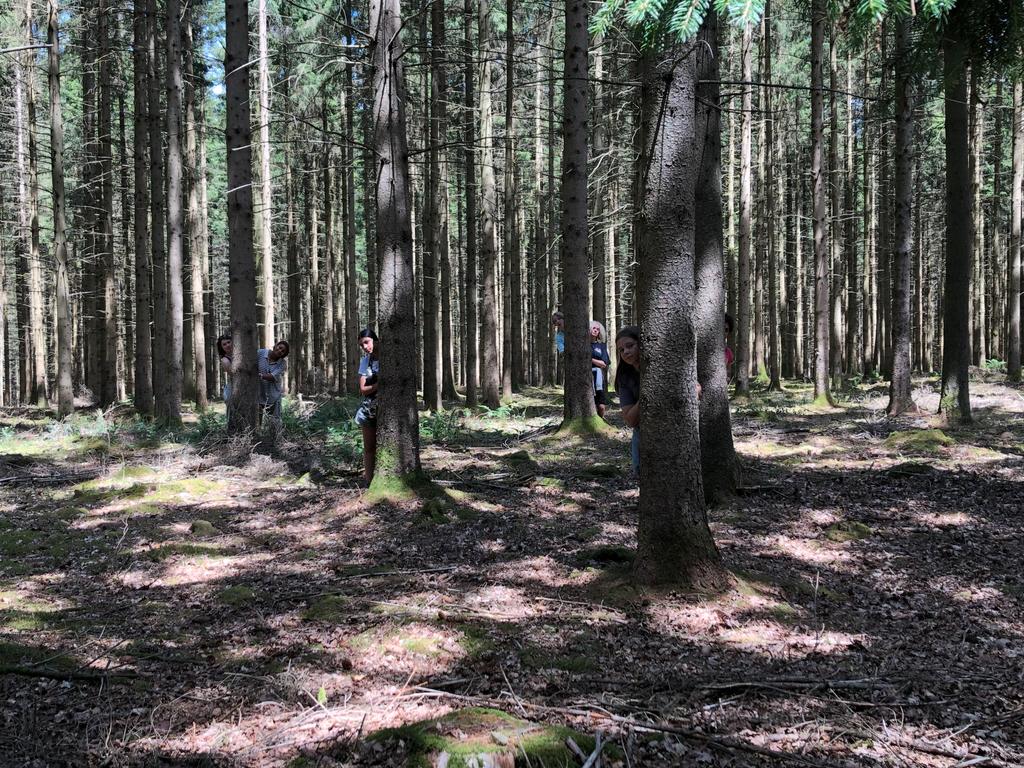 In een bos loeren er kinderen van achter enkele bomen naar de camera.